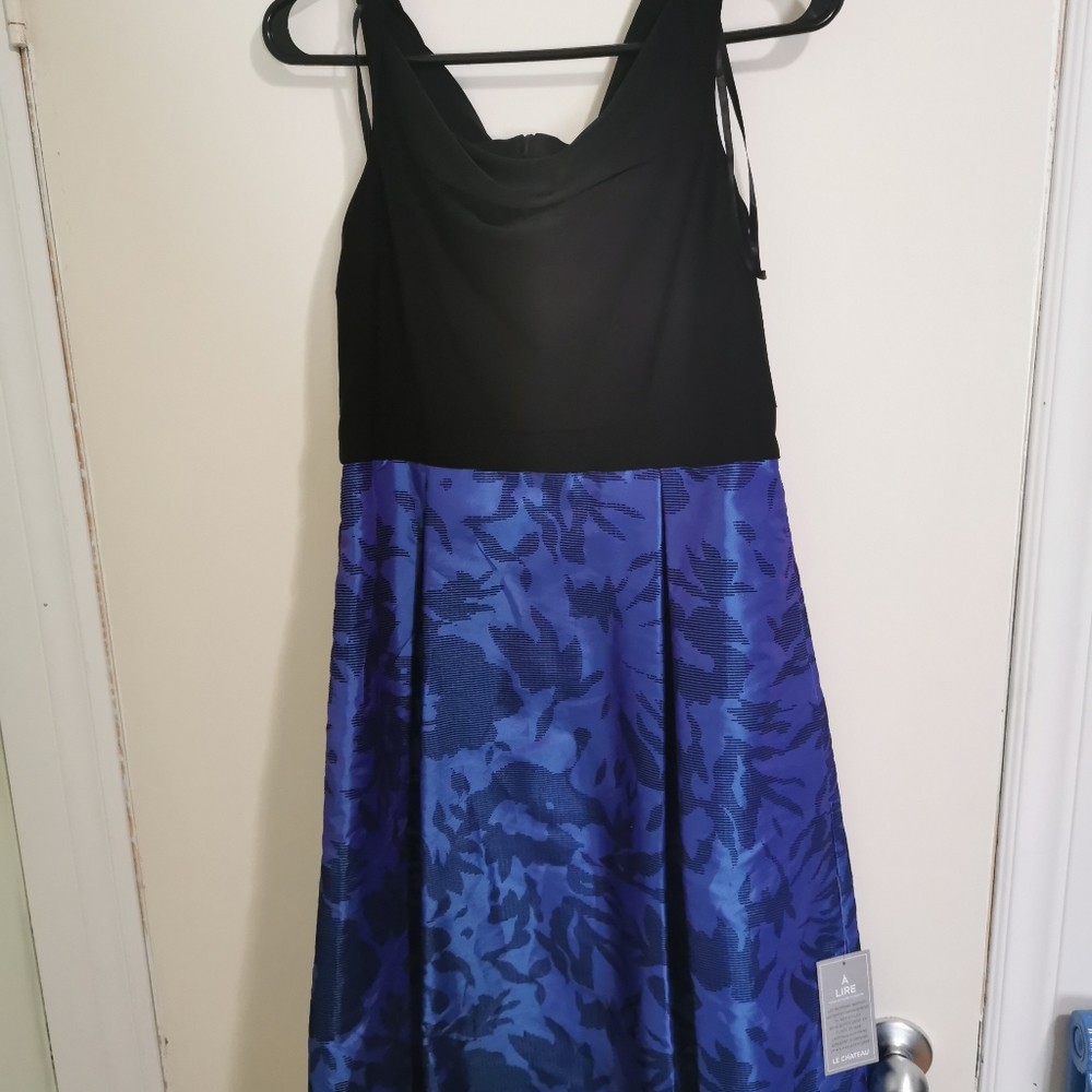 NWT Fancy Dress